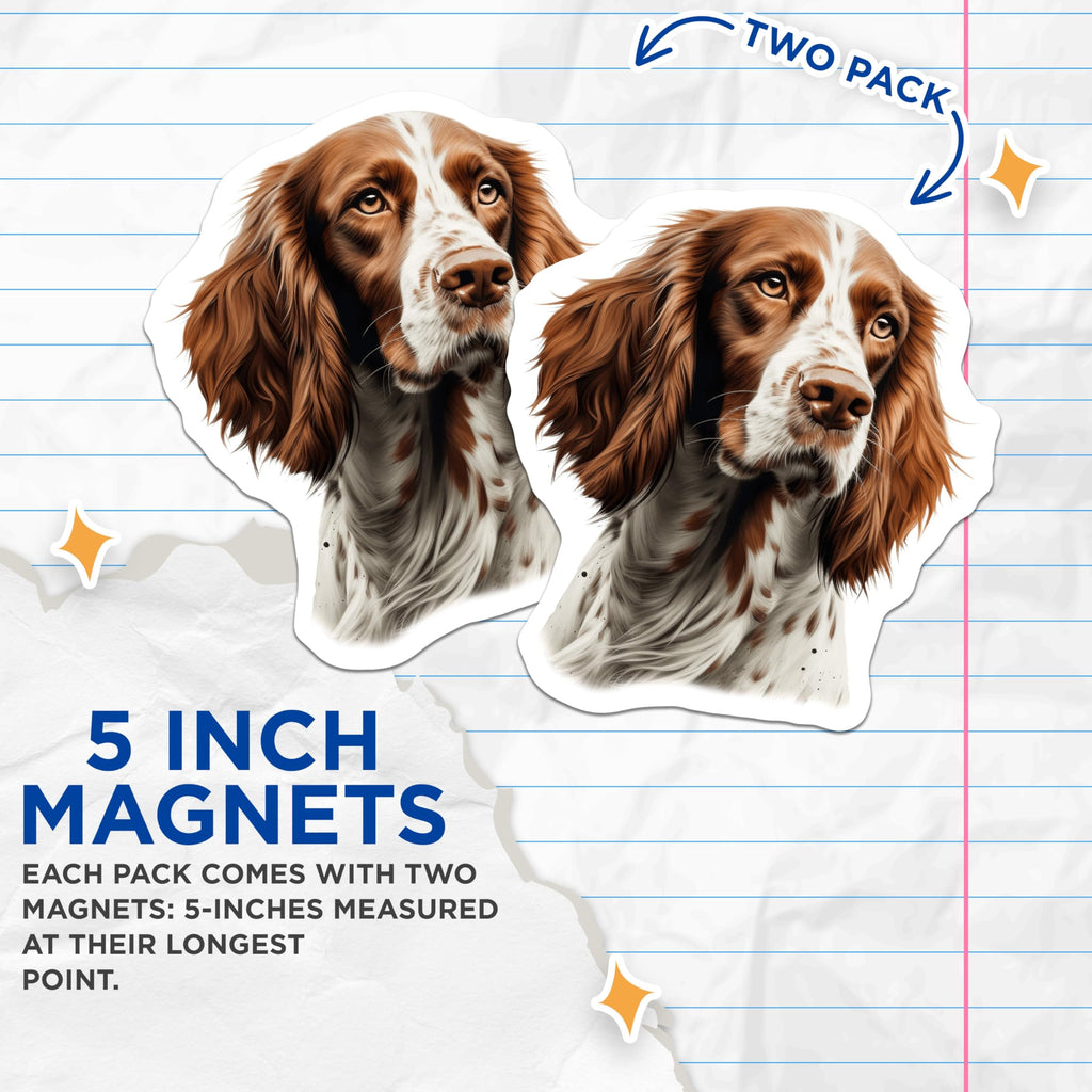 (2 Pack) Springer Spaniel Dog Portrait Magnets - Pet Lover Canine Art - Dog Mom Decor Fridge Magnets - 5 Inches On Longest Side - Thick Durable Magnet - Made in USA - MAG27652