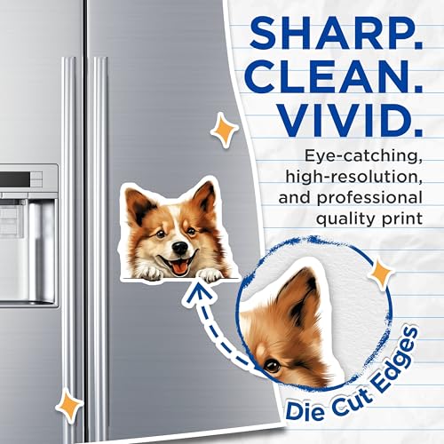 (2 Pack) Animal Lover Magnet - Pet Owner - Cute Kitchen Decor - 5" On Longest Side - Sticks to Smooth Flat Surfaces - Made in USA - MAG10197