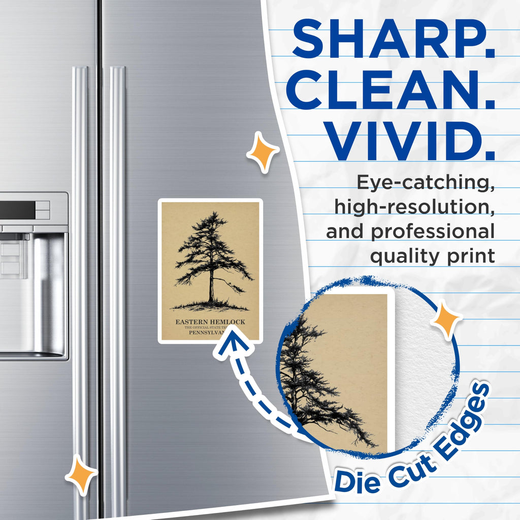 (2 Pack) Hemlock Tree Magnets - Pennsylvania State Tree - Nature Art Magnets - 5" On Longest Side - Premium Magnet - for Cars, Refrigerators, Toolboxes, Lockers - Made in USA - MAG18355