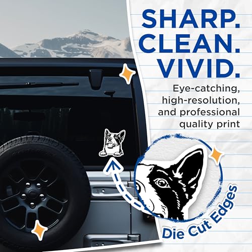 (2 Pack) Dog Lover Stickers - Cute Pet Dog Stickers - Dog Owner Car Laptop Stickers - 5" On Longest Side - Sticks to Smooth Flat Surfaces - Made in USA - BMCS4040