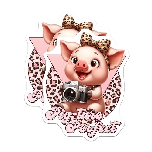 (2 Pack) Cute Pig Cartoon Camera Magnets - 5" On Longest Side - for Cars, Fridges, Toolboxes - Made in USA - MAG7930