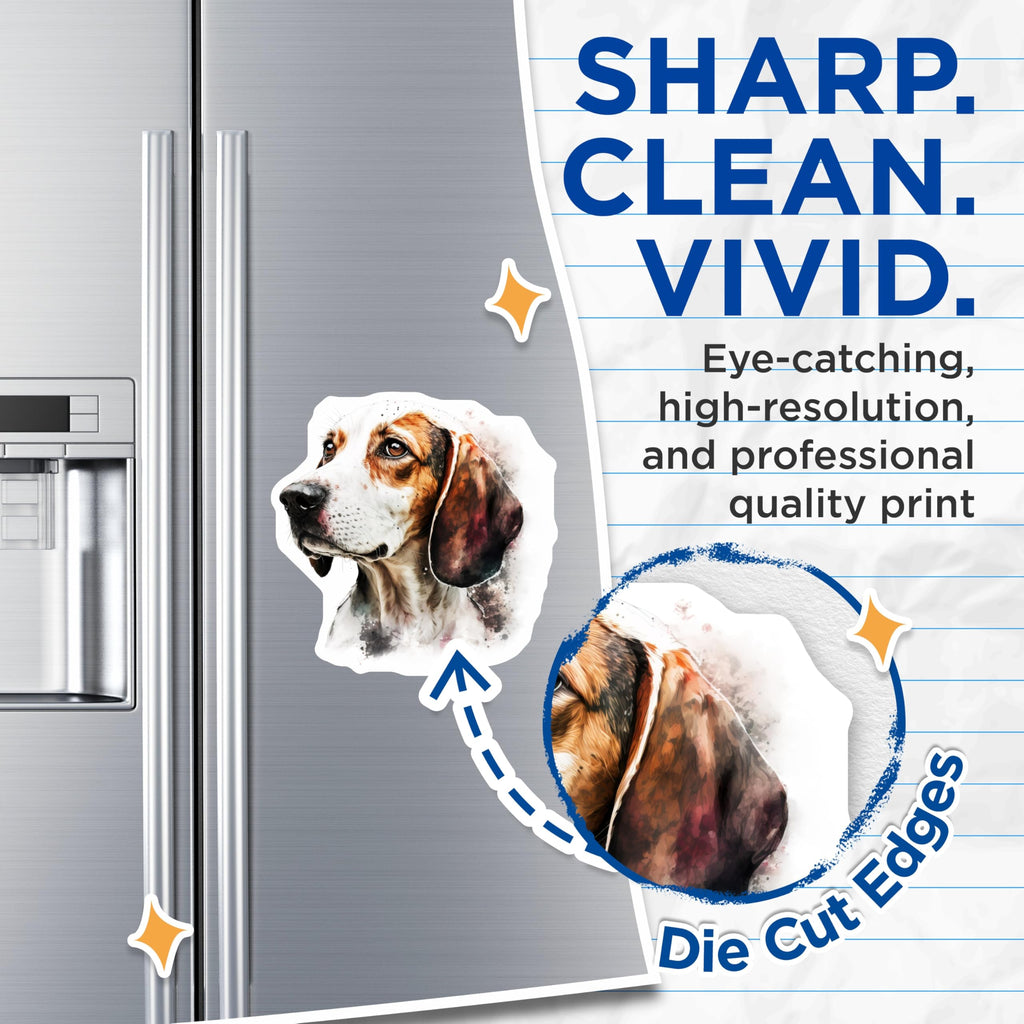 (2 Pack) Watercolor Beagle Hound Magnets - Dog Lover Decor - Pet Owner Kitchen Art - 5 Inches On Longest Side - Thick Durable Magnet - Made in USA - MAG26527