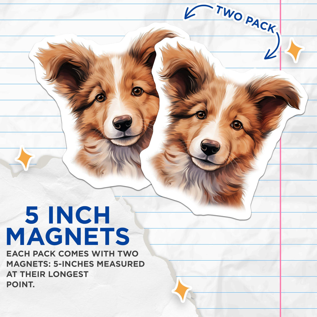 (2 Pack) Adorable Border Collie Puppy Magnets - Dog Lover Fridge Decor - Pet Parent Locker Accessory - 5 Inches On Longest Side - Thick Durable Magnet - Made in USA - MAG28003