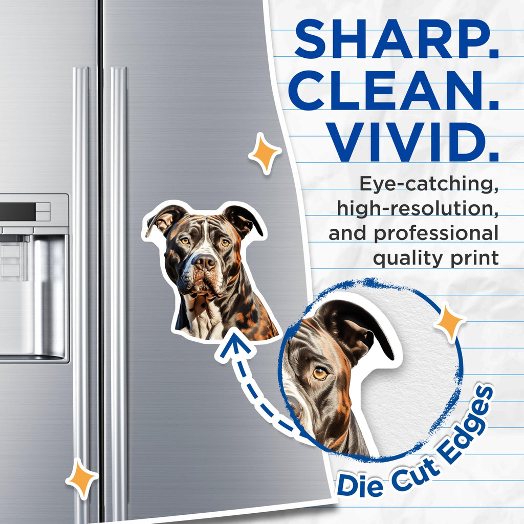 (2 Pack) Brindle Dog Magnets - American Bulldog Decor - Dog Mom Dad Fridge Art - 5 Inches On Longest Side - Thick Durable Magnet - Made in USA - MAG28644