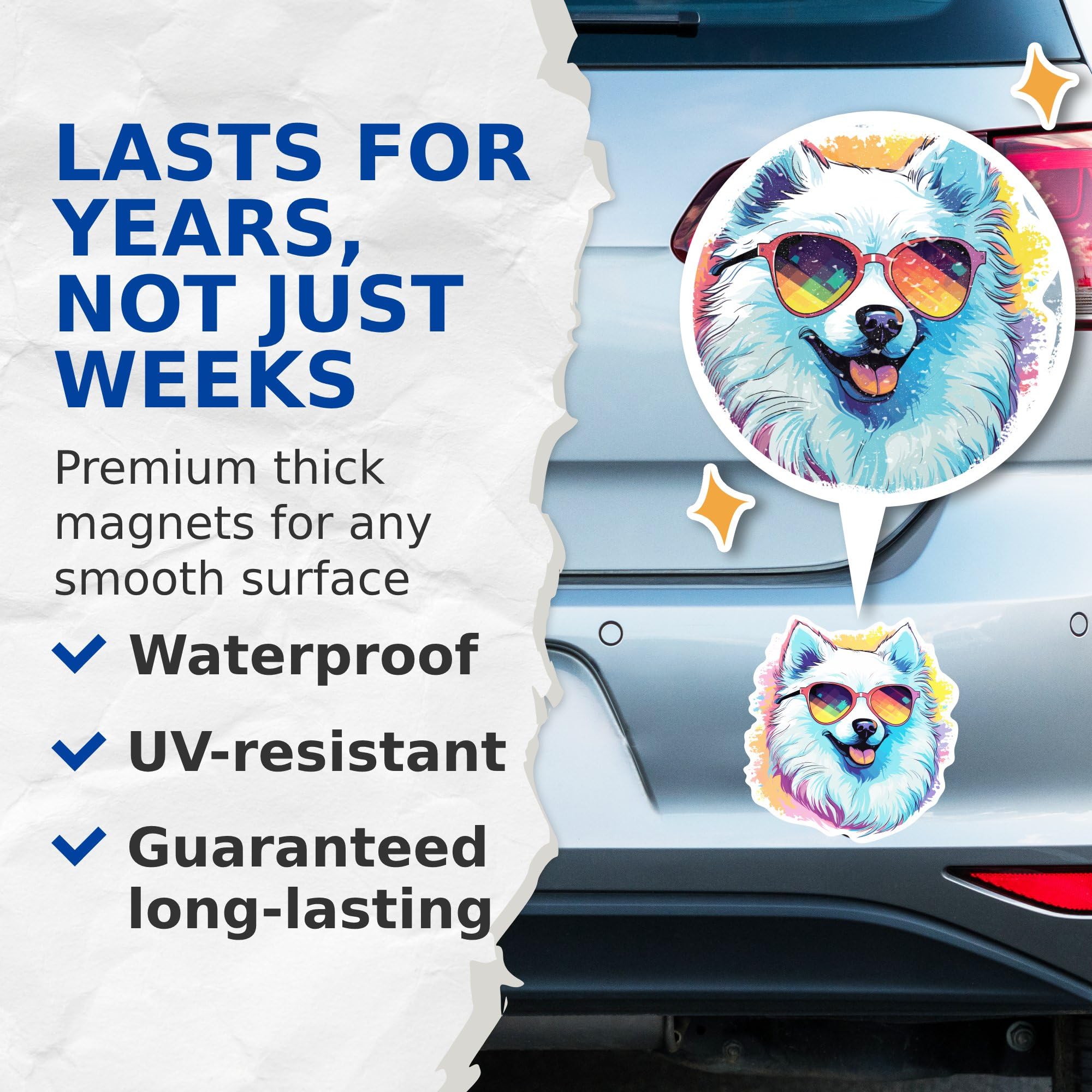 (2 Pack) American Eskimo Dog Magnets - American Eskimo with Sunglasses - Choose FromOver 100 Dog Breeds - 5" On Longest Side - Premium Magnet - Made in USA - MAG0303