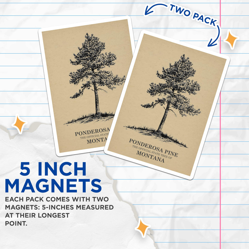 (2 Pack) Ponderosa Pine Magnets - Montana State Tree Art - Nature Inspired Home Decor - 5" On Longest Side - Premium Magnet - for Cars, Refrigerators, Toolboxes, Lockers - Made in USA - MAG17357