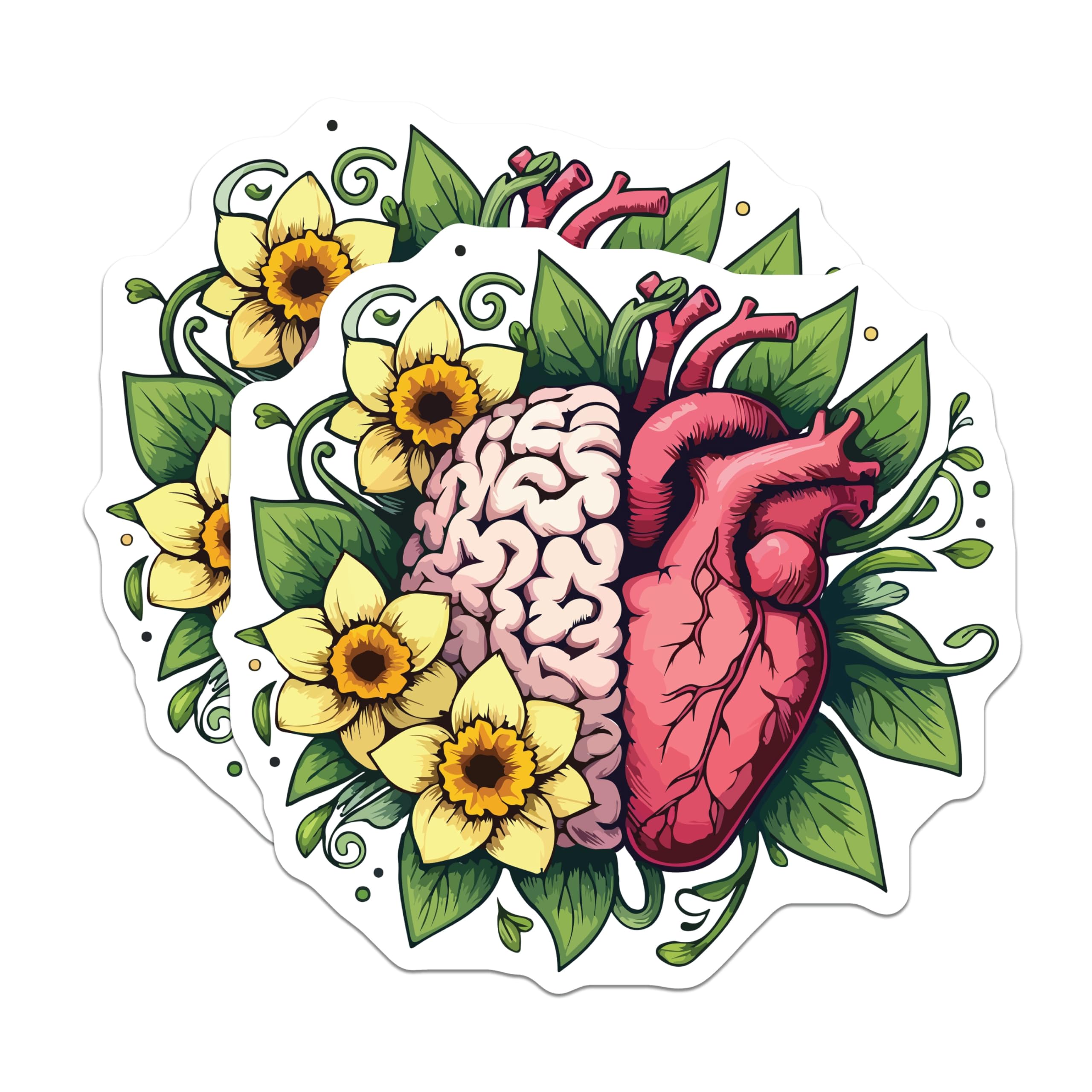 (2 Pack) Brain Heart Magnets - Daffodil Floral Anatomy - Mind Body Soul Decor - 5 Inches On Longest Side - Thick Durable Magnet - Made in USA - MAG19548