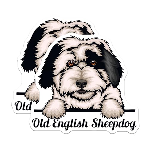 (2 Pack) Old English Sheepdog Magnets - Dog Fridge Magnet - Pet Lover Dog Breed Magnet - 5" On Longest Side - for Cars, Fridges, Toolboxes - Made in USA - MAG4231