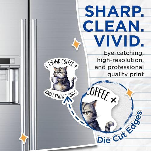 (2 Pack) Cat Lover Magnets - Coffee Drinking Cat Magnets - Funny Cat Quote Magnets - 5" On Longest Side - for Cars, Refrigerators, Toolboxes, Lockers - Made in USA BMCS3453
