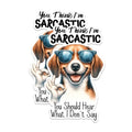 (2 Pack) Funny Dog Sarcastic Magnets - Cute Dog Humor Magnets - Dog Lover Fridge Decor Magnets- 5" On Longest Side - for Fridges, Toolboxes, Cars - Made in USA - MAG2932