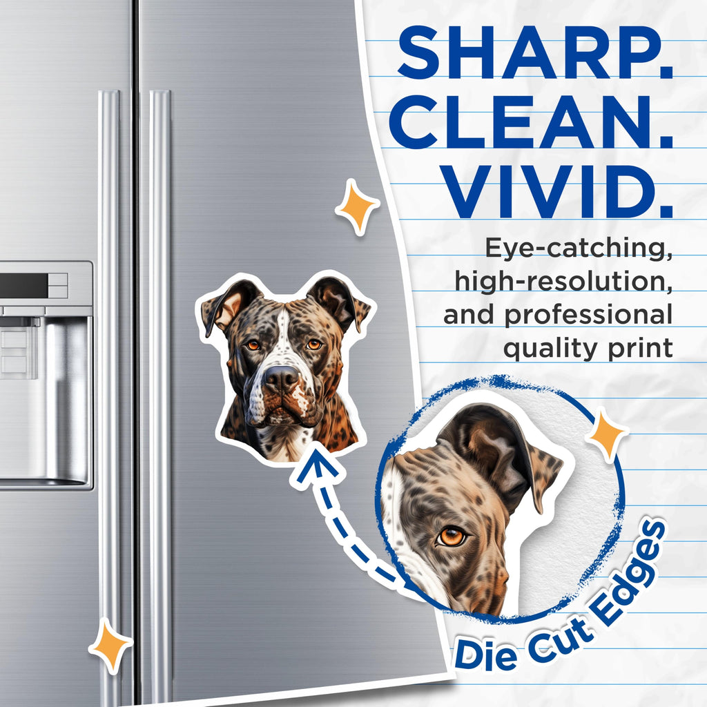 (2 Pack) Brindle Catahoula Leopard Dog Magnets - Unique Pet Lover Art Decor - Majestic Canine Home Accents - 5 Inches On Longest Side - Thick Durable Magnet - Made in USA - MAG24392