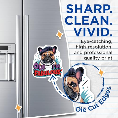 (2 Pack) French Bulldog Magnets Magnets - Oui I'm Fabulous - Dog Lover Decor - 5" On Longest Side - Made in USA - Sticks to Refrigerators & Metal Surfaces - MAG8532