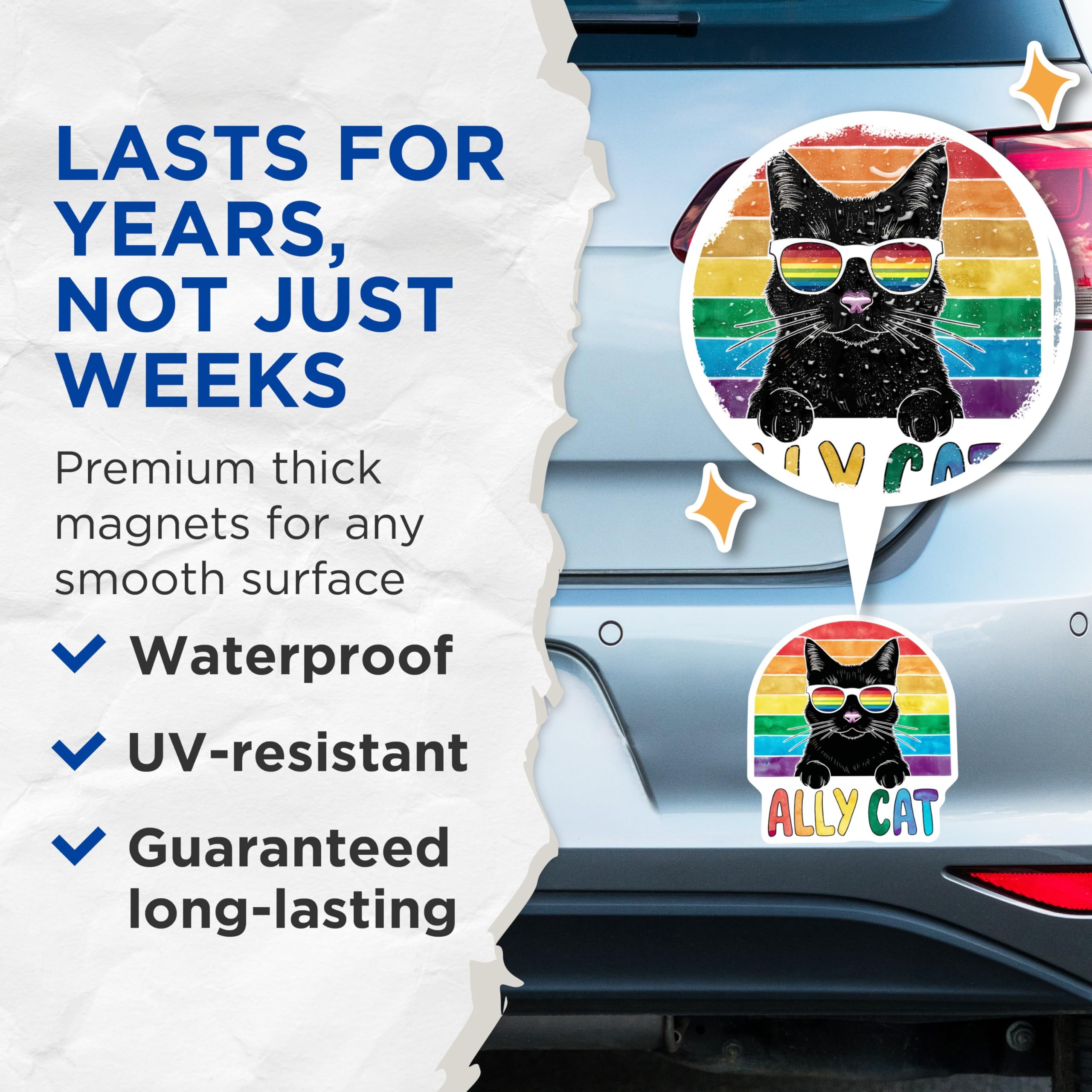(2 Pack) Ally Cat Decor Magnet - 5" On Longest Side - Sticks to Smooth Flat Surfaces - Made in USA - MAG9546