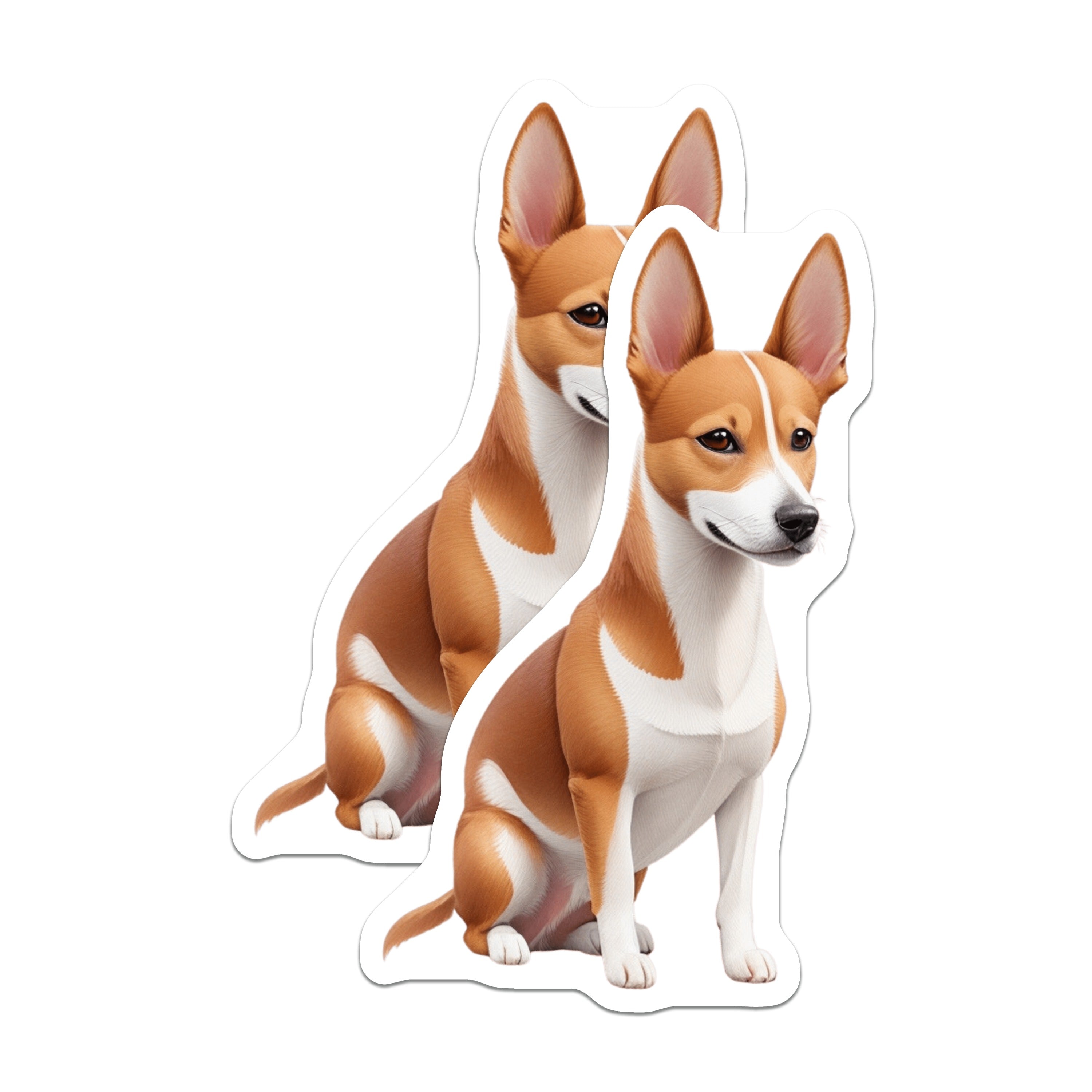 (2 Pack) Basenji Dog Magnets - Cute Pet Lover Decor - Dog Mom Dad Fridge Accessory - Animal Art Collectible - 5 Inches On Longest Side - Thick Durable Magnet - Made in USA - MAG36458