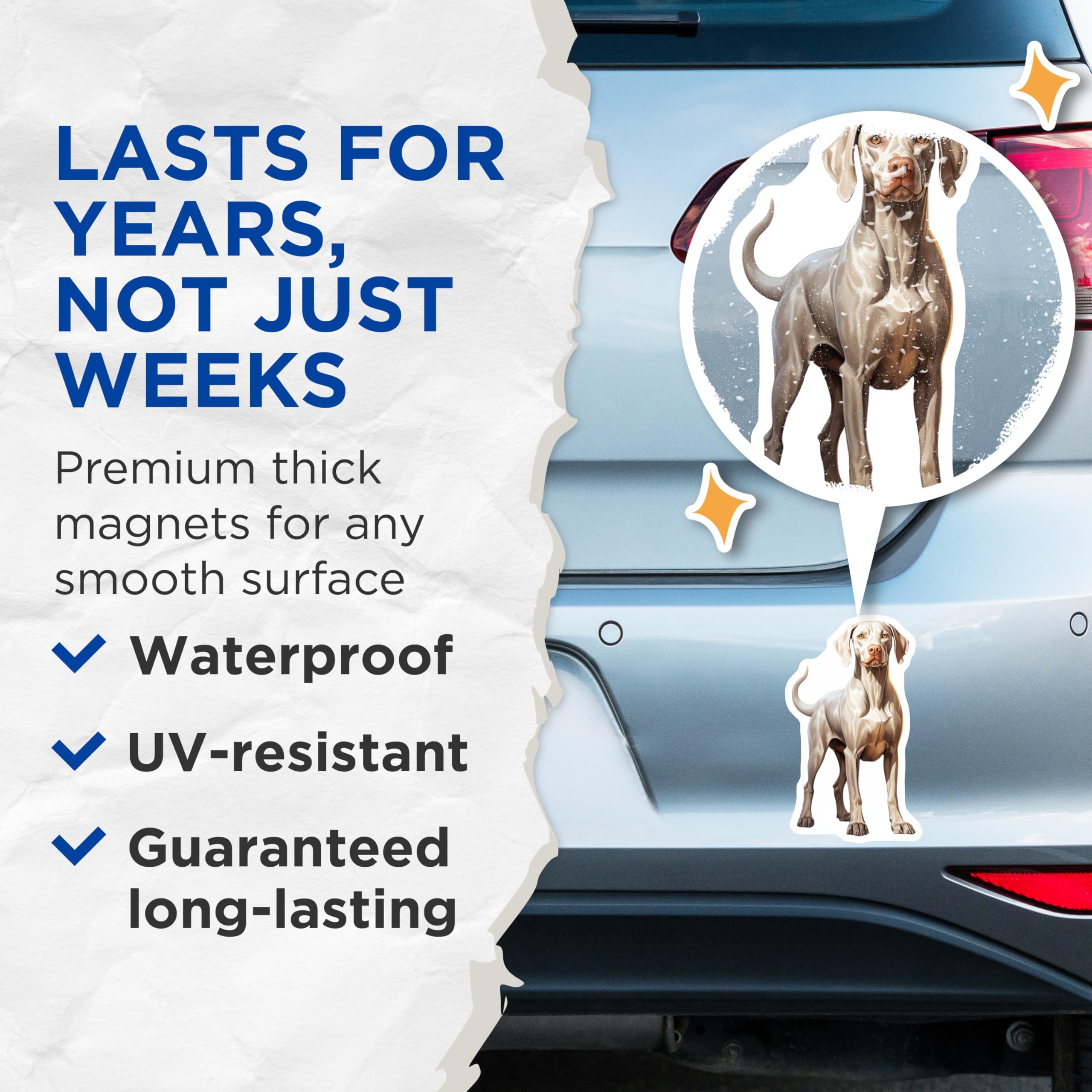 (2 Pack) Weimaraner Dog Magnets - Weimaraner Car Decal - Pet Lover Fridge Magnet for Dog Owners - 5 Inches On Longest Side - Thick Durable Magnet - Made in USA - MAG30639