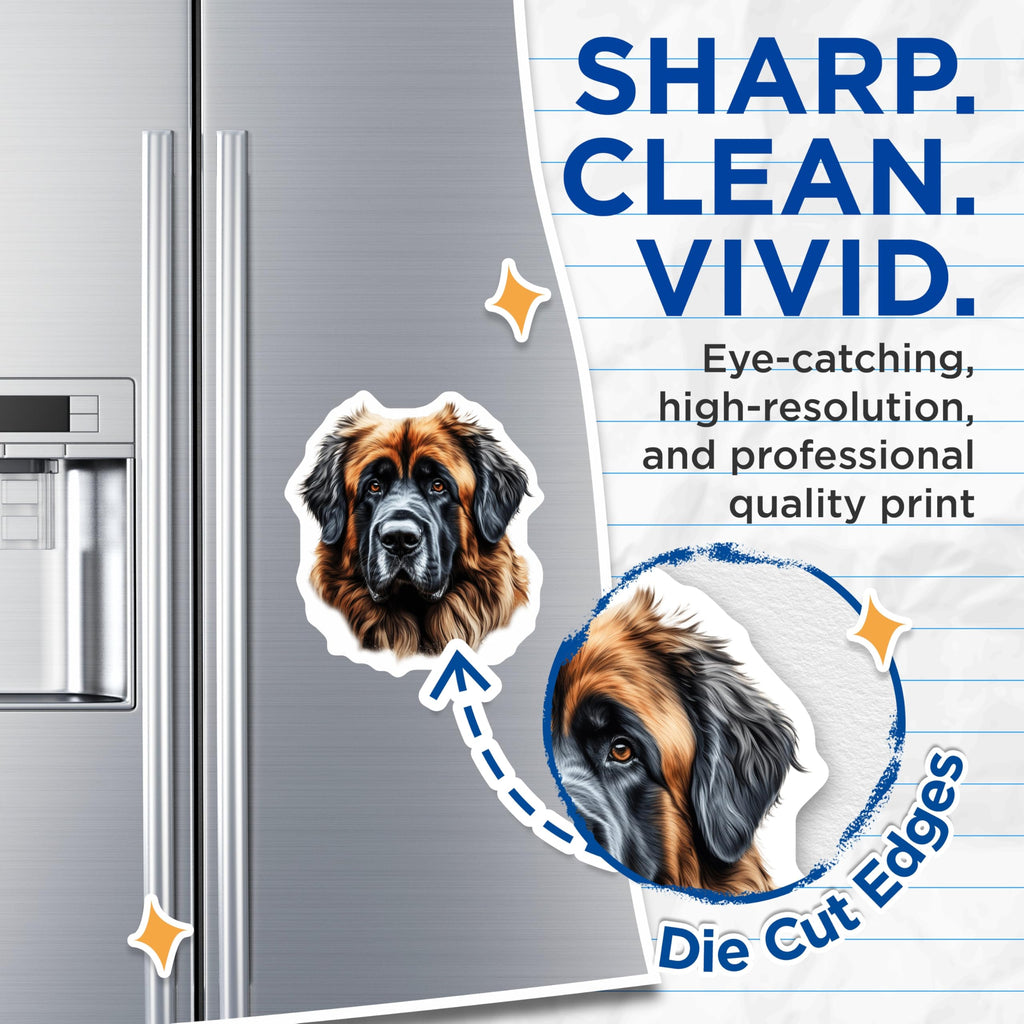 (2 Pack) Leonberger Dog Magnets - Large Breed Dog Art - Pet Owner Refrigerator Decor - Animal Lover Canine Display - 5 Inches On Longest Side - Thick Durable Magnet - Made in USA - MAG30767
