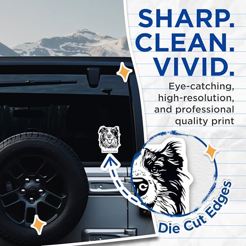 (2 Pack) Border Collie Dog Stickers - Pet Owner Gift - Border Collie DÃ©cor - 5" On Longest Side - Sticks to Smooth Flat Surfaces - Made in USA - BMCS4023