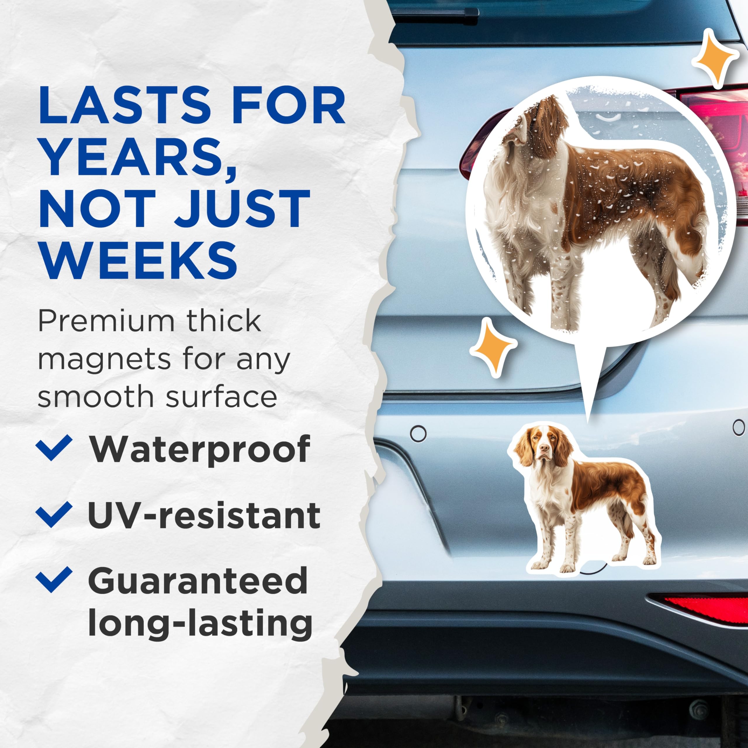 (2 Pack) Welsh Springer Spaniel Magnets - Dog Lover Refrigerator Decor - Pet Owner Kitchen Art - 5 Inches On Longest Side - Thick Durable Magnet - Made in USA - MAG26211