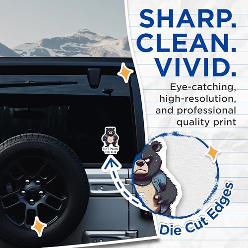 (2 Pack) Don't Care Bear Stickers - Funny Bear - Humor Graphic Decal - 5" On Longest Side - Sticks to Smooth Flat Surfaces - Made in USA - BMCS7732