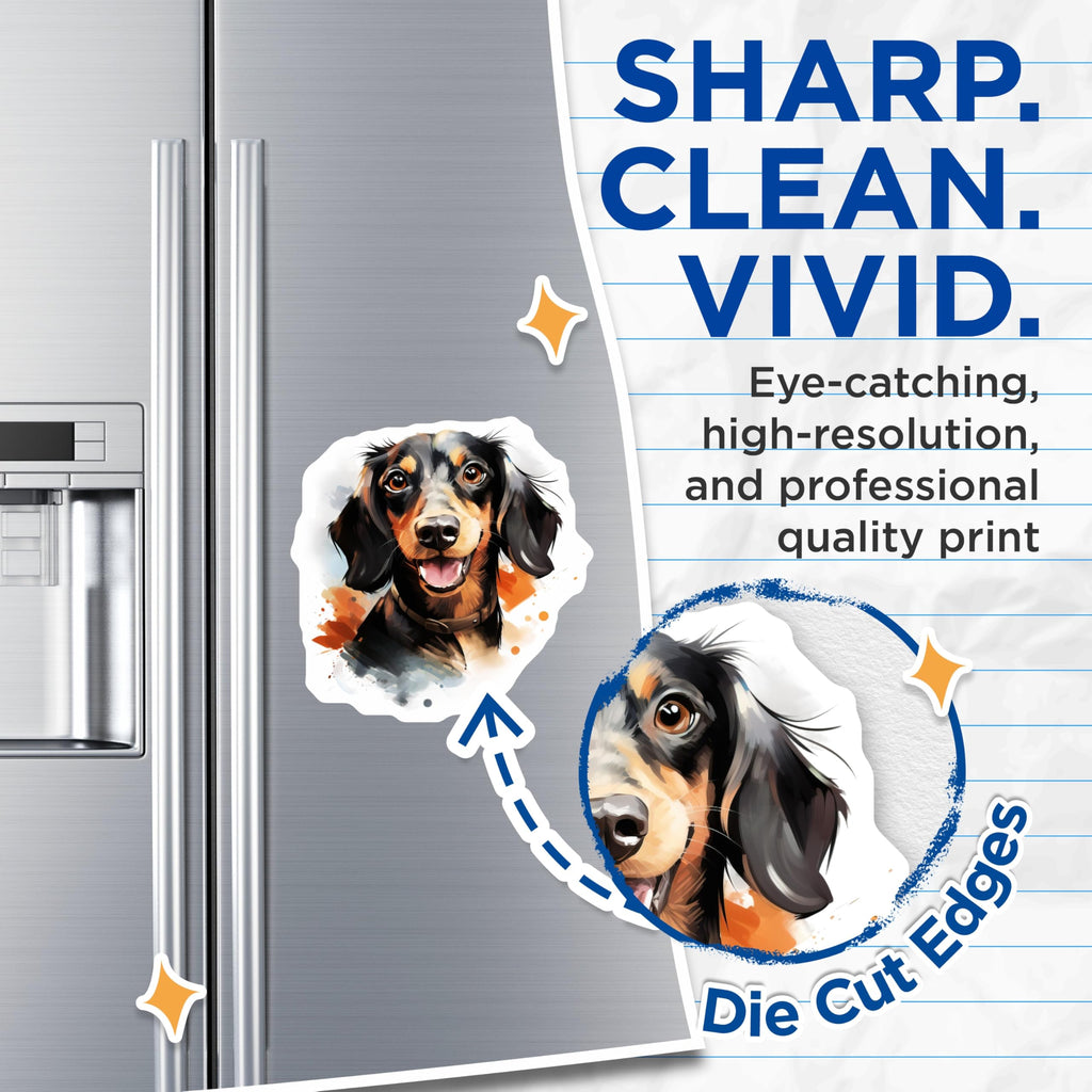 (2 Pack) Dachshund Magnets - Wiener Dog Decor - Happy Doxie Art for Pet Lover - 5 Inches On Longest Side - Thick Durable Magnet - Made in USA - MAG29299