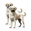 (2 Pack) Akbash Dog Magnets - Loyal Livestock Guardian Dog Art - Pet Owner Refrigerator Decor - 5 Inches On Longest Side - Thick Durable Magnet - Made in USA - MAG29417