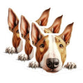 (3 Pack) Bull Terrier Decals - Dog Breed Stickers - Cute Puppy Laptop Decals - 3 Inches On Longest Side - Easy Peel & Apply - Made in USA - 3MCS8655