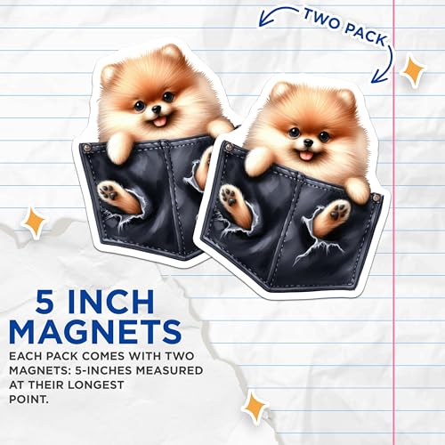 (2 Pack) Cute Pomeranian Dog Magnets - 3D Pet Magnets for Fridge - Animal Refrigerator - Adorable Pet Magnets - 5" On Longest Side - for Cars, Fridges, Toolboxes - Made in USA - MAG4249