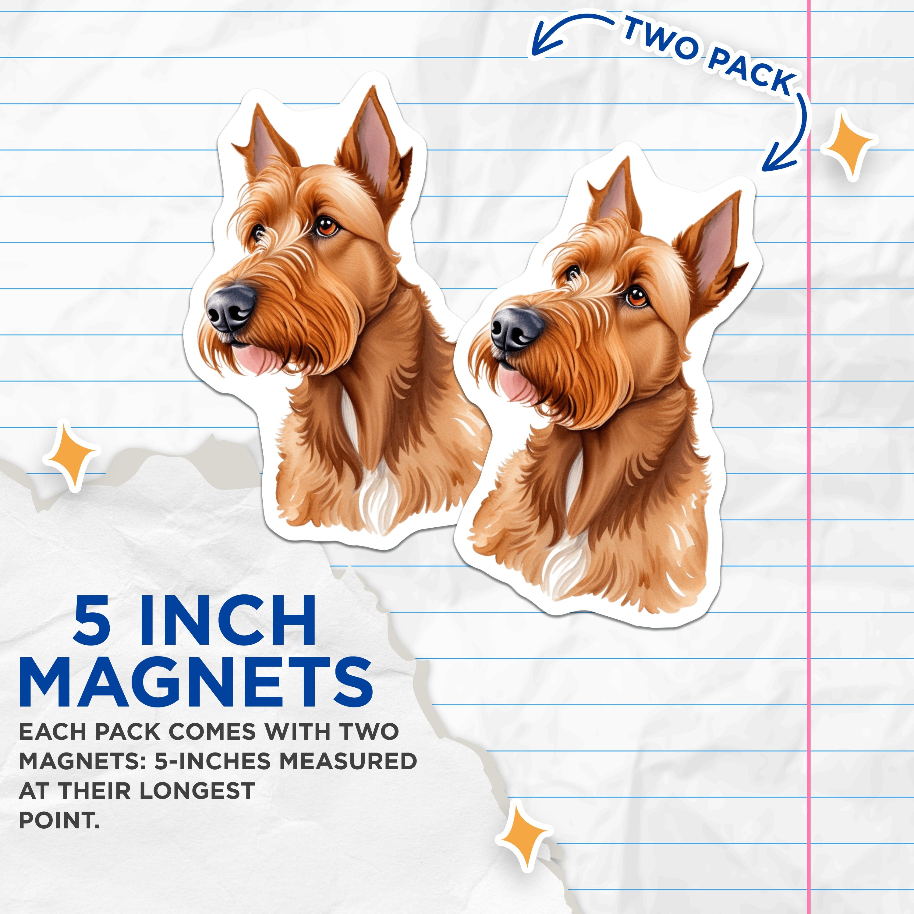 (2 Pack) Irish Terrier Magnets - Dog Breed Refrigerator Decor - Pet Lover Kitchen Accessory - 5 Inches On Longest Side - Thick Durable Magnet - Made in USA - MAG39394