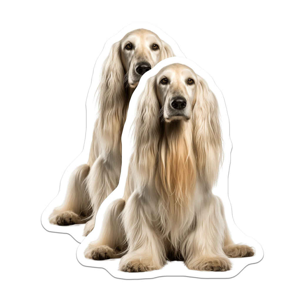 (2 Pack) Afghan Hound Dog Magnets - Elegant Pet Lover Decor - Animal Enthusiast Fridge Accessories - 5 Inches On Longest Side - Thick Durable Magnet - Made in USA - MAG25504