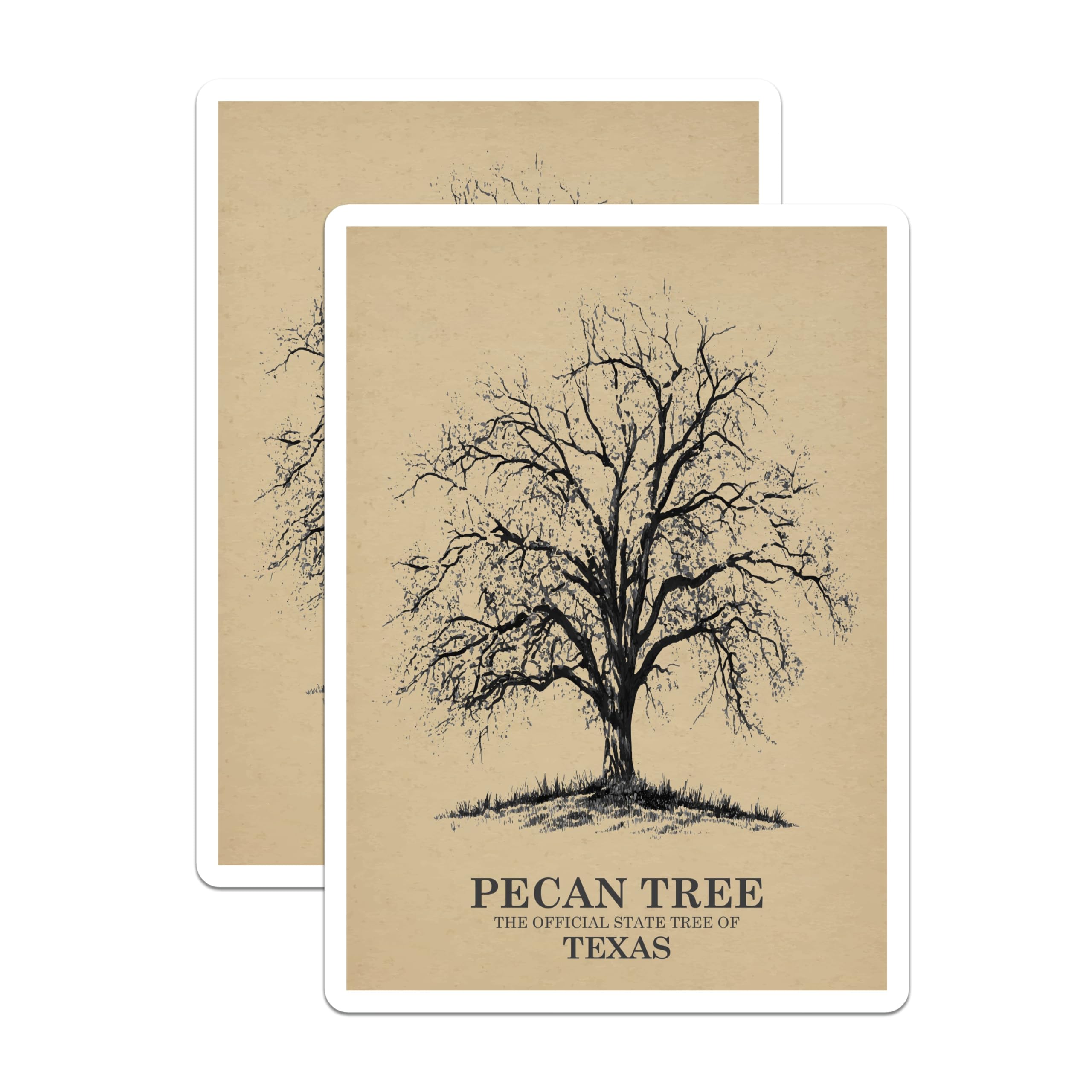 (2 Pack) Pecan Tree Magnets - Texas State Tree Decor - Nature Inspired Refrigerator Magnets - 5" On Longest Side - Premium Magnet - for Cars, Refrigerators, Toolboxes, Lockers - Made in USA - MAG17393