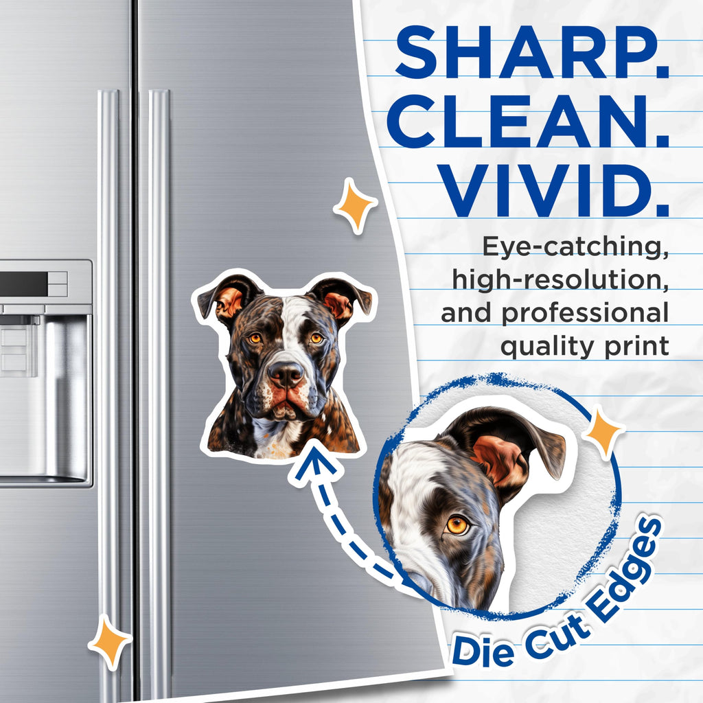 (2 Pack) American Bully Magnets - Brindle Pitbull Dog Art - Loyal Canine Companion Decor - 5 Inches On Longest Side - Thick Durable Magnet - Made in USA - MAG29055
