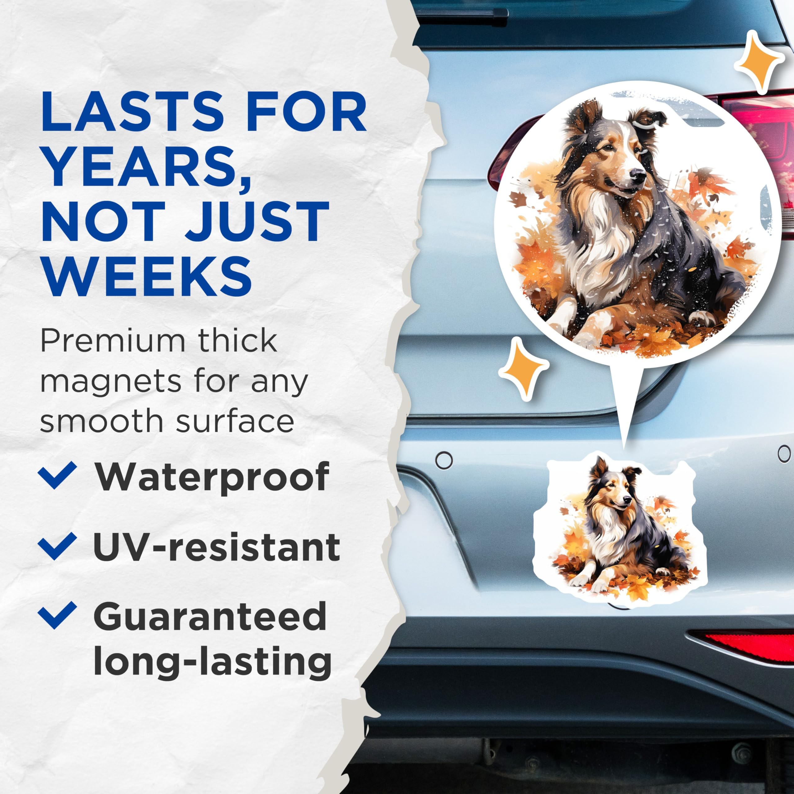 (2 Pack) Shetland Sheepdog Magnets - Autumn Fall Leaves Decor - Dog Lover Car Refrigerator Magnet - 5 Inches On Longest Side - Thick Durable Magnet - Made in USA - MAG28772