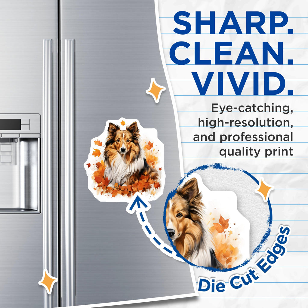 (2 Pack) Shetland Sheepdog Magnets - Autumn Fall Sheltie Dog Lover Decor - Pet Refrigerator Accessory - 5 Inches On Longest Side - Thick Durable Magnet - Made in USA - MAG28205