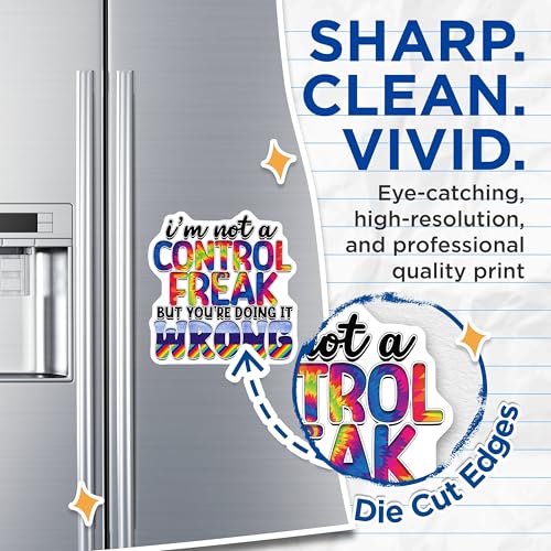 (2 Pack) I'm Not A Control Freak Magnets - Funny Quote Magnets - Colorful Typography Magnets - 5" On Longest Side - for Cars, Fridges, Toolboxes - Made in USA - MAG4106