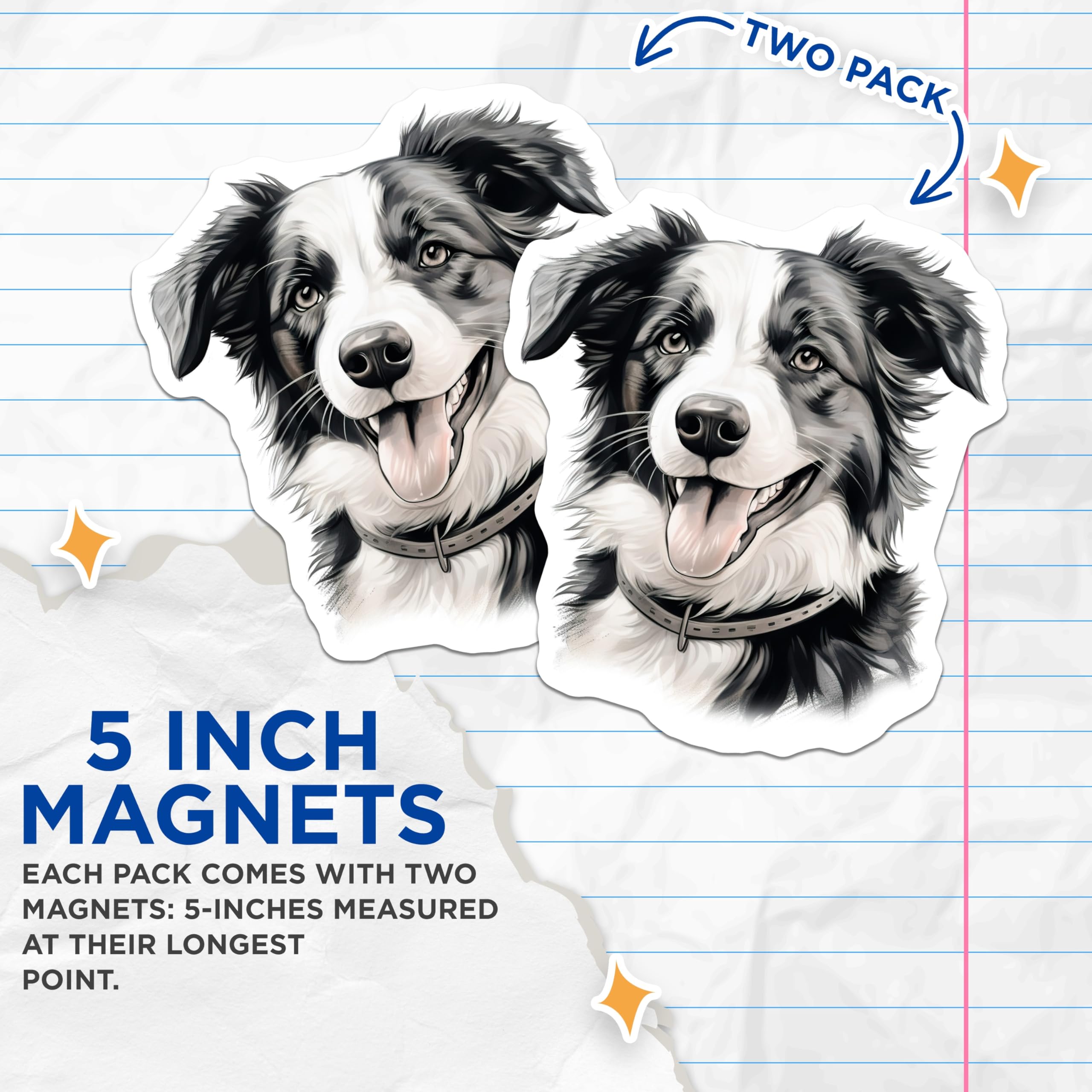 (2 Pack) Border Collie Dog Magnets - Happy Pet Portrait Artwork - Dog Mom Dad Fridge Locker Decor - 5 Inches On Longest Side - Thick Durable Magnet - Made in USA - MAG30218