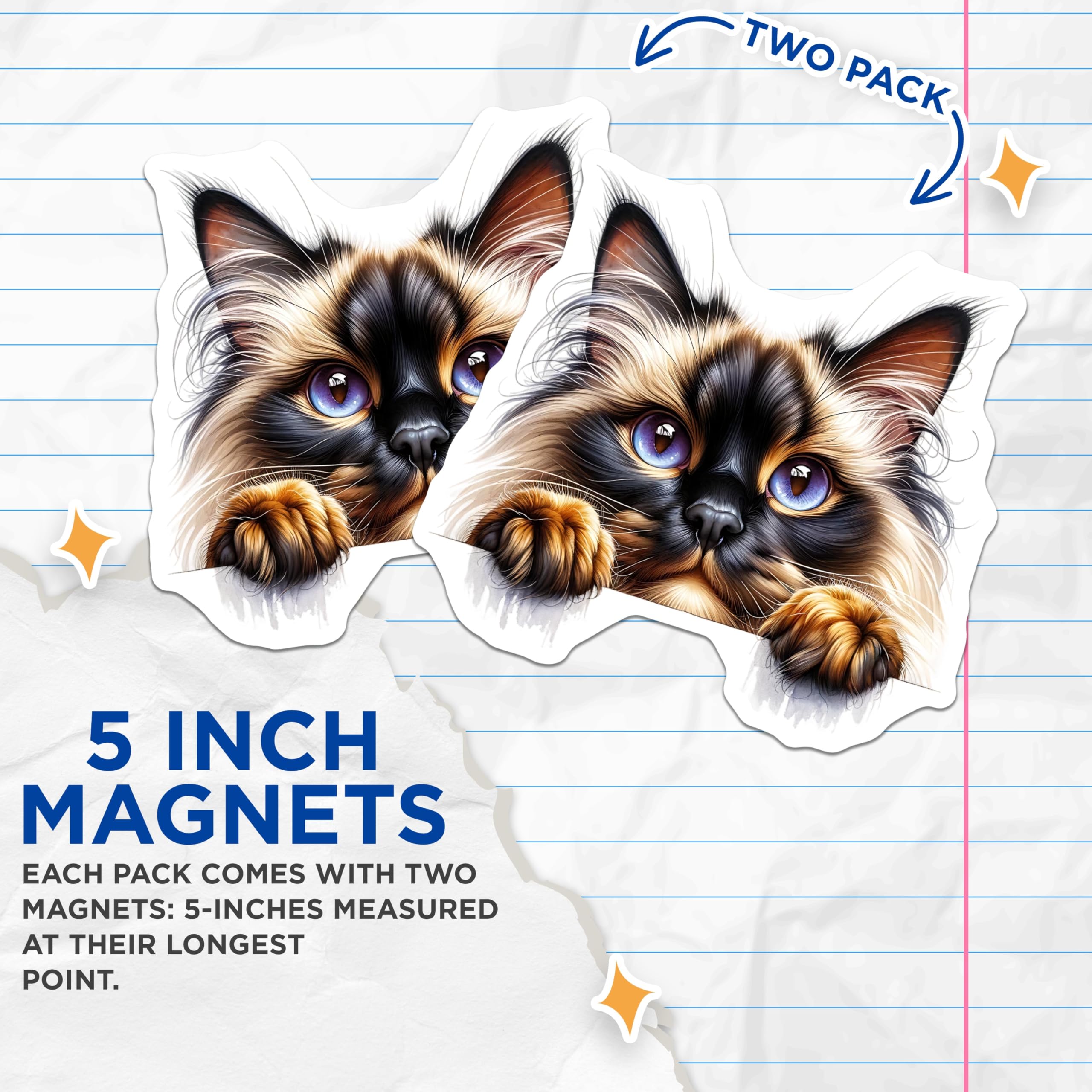 (2 Pack) Ragdoll Cat Magnets - Cute Kitten Art - Refrigerator Magnets - 5" On Longest Side - Premium Magnet - for Cars, Refrigerators, Toolboxes, Lockers - Made in USA - MAG16375