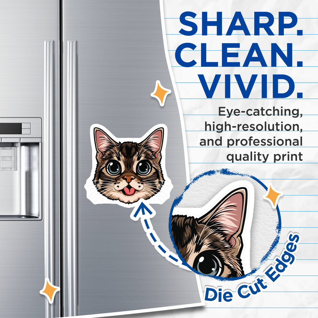 (2 Pack) Cute Cat Magnets - Funny Kitty Face - Cat Lover Decor - Refrigerator Locker Appliance Magnet - 5 Inches On Longest Side - Thick Durable Magnet - Made in USA - MAG36424