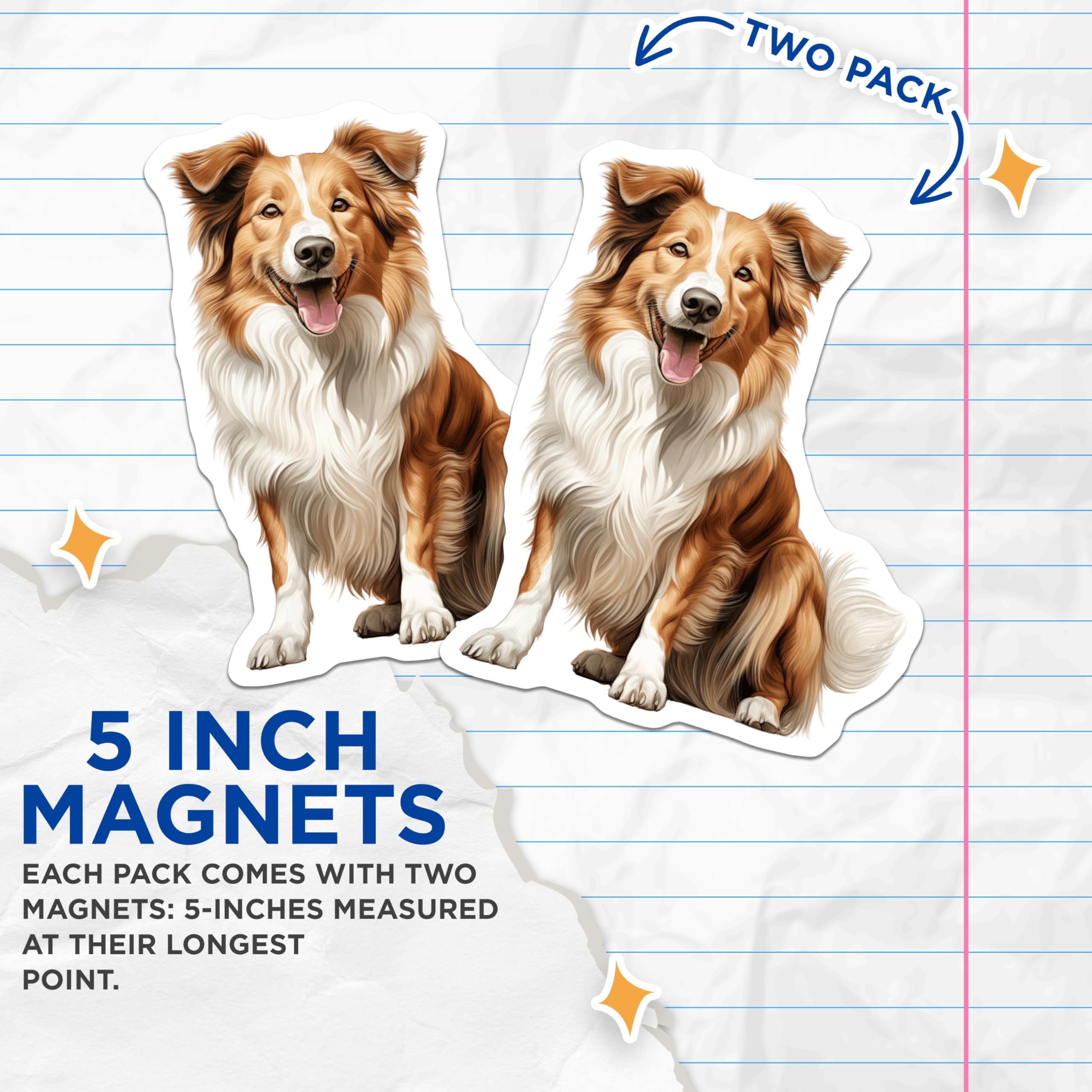 (2 Pack) Border Collie Magnets - Happy Smiling Dog Art - Pet Lover Refrigerator Decor for Canine Enthusiasts - 5 Inches On Longest Side - Thick Durable Magnet - Made in USA - MAG30457