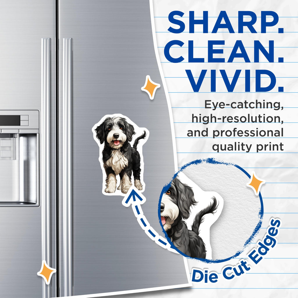 (2 Pack) Bernedoodle Puppy Magnets - Fluffy Dog Decor - Cute Pet Accessories - 5 Inches On Longest Side - Thick Durable Magnet - Made in USA - MAG23993