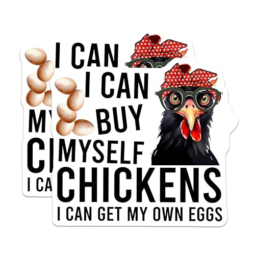 (2 Pack) Funny Chicken Magnets - Hilarious Kitchen Decor - 5" On Longest Side - for Cars, Fridges, Toolboxes - Made in USA - MAG7735