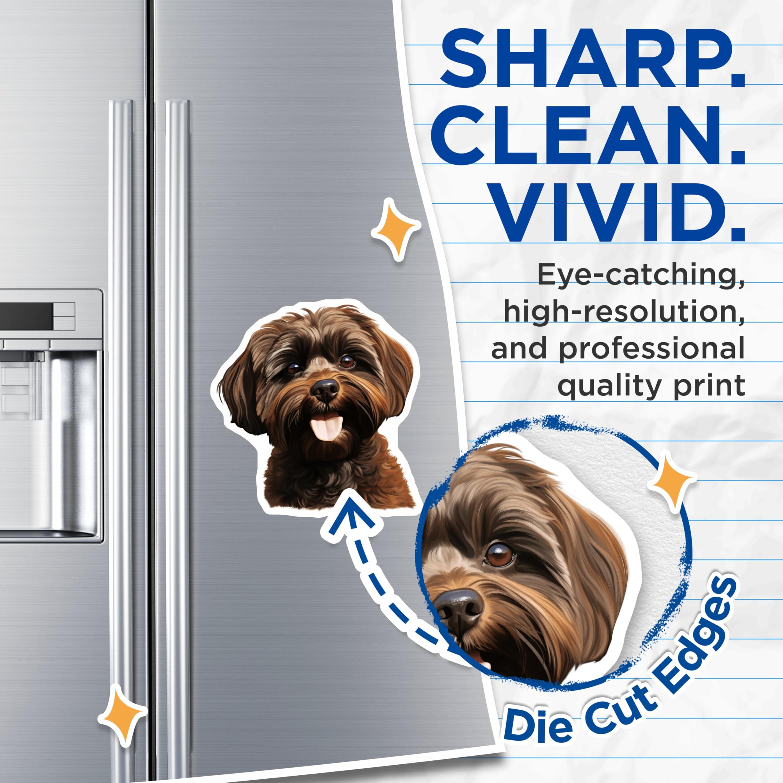 (2 Pack) Brown Havanese Dog Magnets - Shaggy Puppy Animal Lover Decor - Pet Parent Fridge Accessory - 5 Inches On Longest Side - Thick Durable Magnet - Made in USA - MAG28487