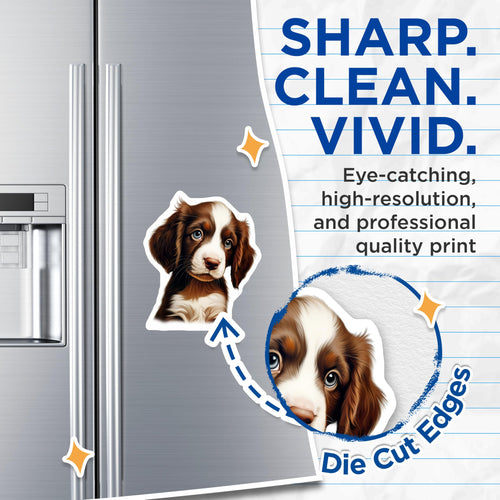 (2 Pack) Adorable Puppy Magnets - Brown White Dog Decor - Cute Blue Eyed Canine Artwork - 5 Inches On Longest Side - Thick Durable Magnet - Made in USA - MAG24848