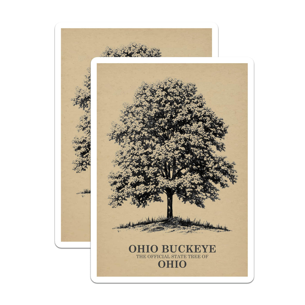 (2 Pack) Ohio Buckeye Tree Magnets - State Tree of Ohio - Botanical Illustration Decor - 5 Inches On Longest Side - Thick Durable Magnet - Made in USA - MAG19062