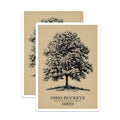 (2 Pack) Ohio Buckeye Tree Magnets - State Tree of Ohio - Botanical Illustration Decor - 5 Inches On Longest Side - Thick Durable Magnet - Made in USA - MAG19062