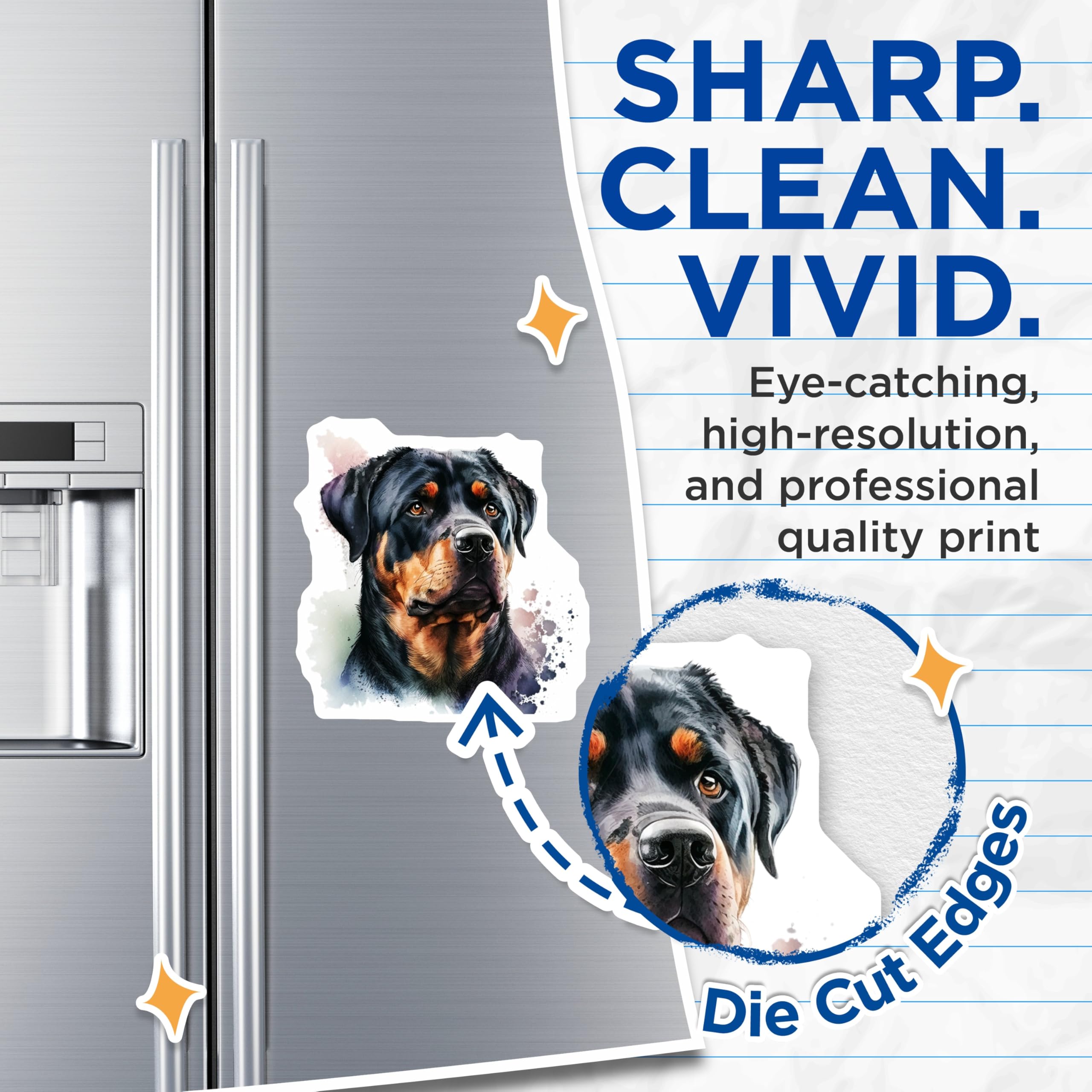 (2 Pack) Rottweiler Magnets - Dog Breed Illustration - Home Decor Magnets - 5" On Longest Side - Premium Magnet - for Cars, Refrigerators, Toolboxes, Lockers - Made in USA - MAG14662