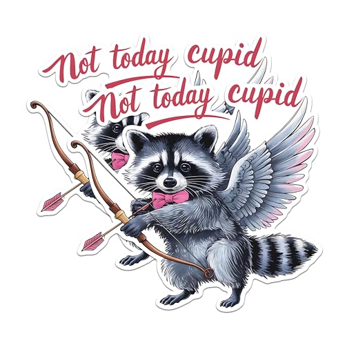 (2 Pack) Not Today Cupid Raccoon Stickers - Funny Anti Valentines Stickers - Cute Animal Stickers - 5" On Longest Side - Sticks to Any Smooth Flat Surface - Made in USA - BMCS3017