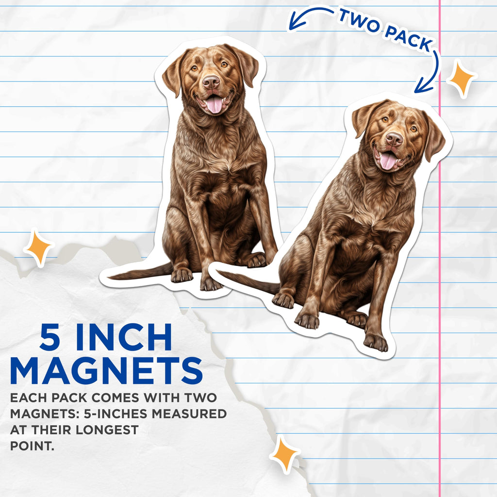 (2 Pack) Chocolate Labrador Magnets - Dog Mom Decor - Retriever Lover Art - Pet Owner Collection - 5 Inches On Longest Side - Thick Durable Magnet - Made in USA - MAG29835