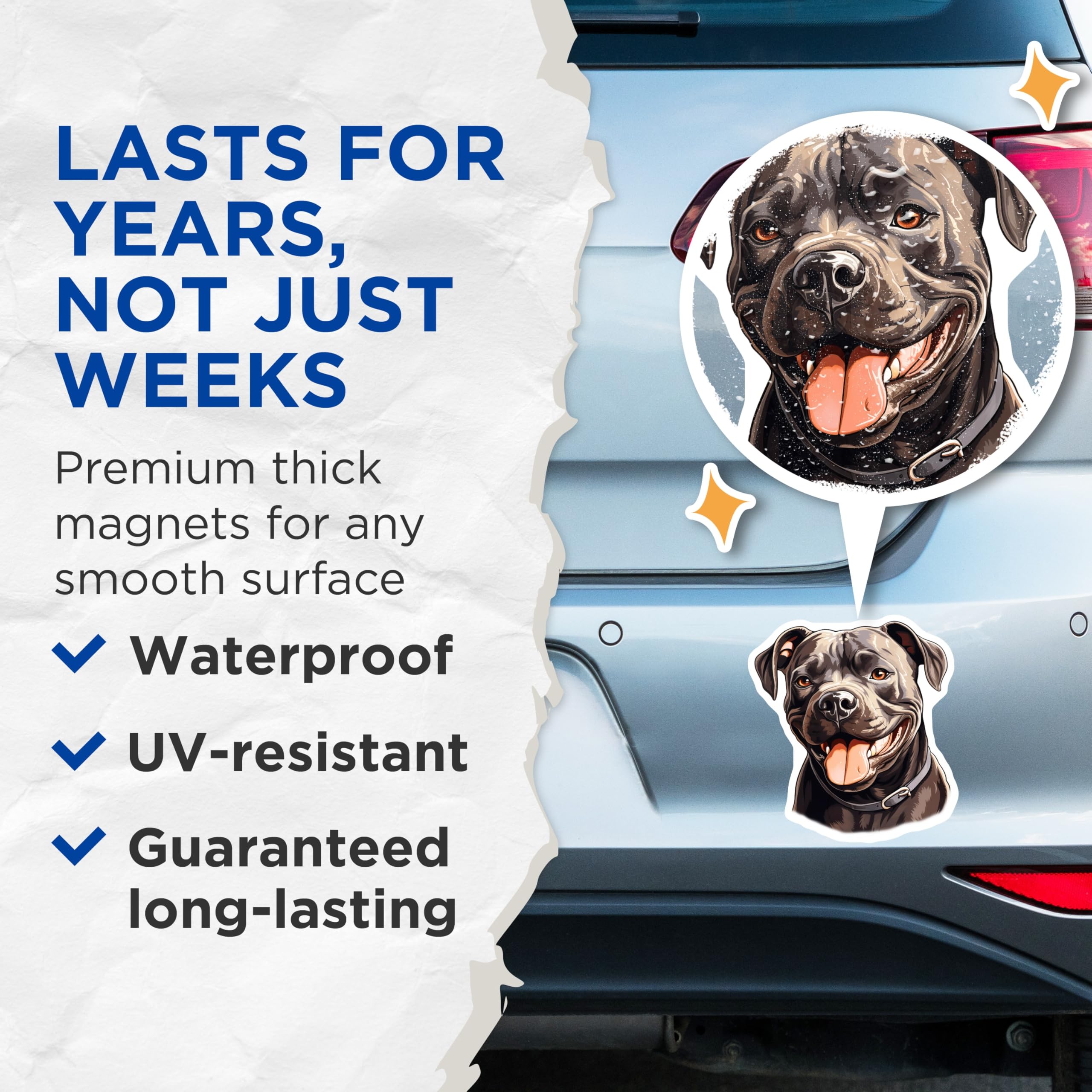 (2 Pack) Smiling Pitbull Magnets - Happy Bully Breed Dog Decor - Pet Lover Car Refrigerator Locker Accessories - 5 Inches On Longest Side - Thick Durable Magnet - Made in USA - MAG29572