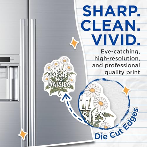 (2 Pack) Wordplay Daisies DÃƒÂ©cor Magnet - 5" On Longest Side - Sticks to Smooth Flat Surfaces - Made in USA - MAG9607