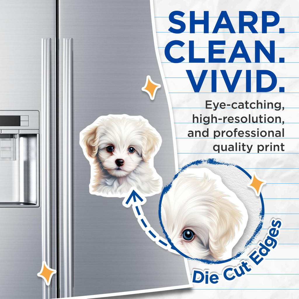 (2 Pack) Cute Puppy Magnets - Fluffy White Dog Lover Decor - Adorable Pet Owner Refrigerator Accents - 5 Inches On Longest Side - Thick Durable Magnet - Made in USA - MAG29472
